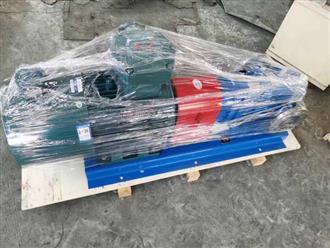 LZB凸輪轉子泵