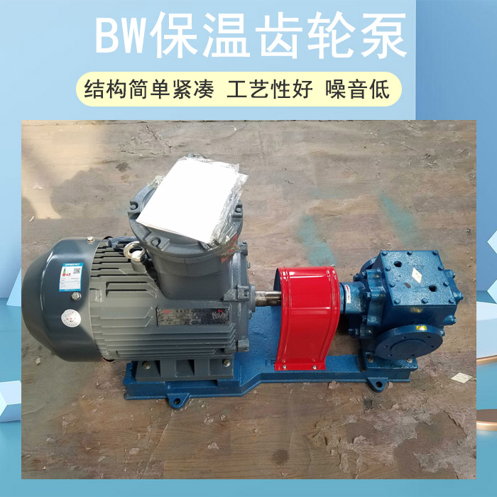 BW不銹鋼保溫齒輪泵