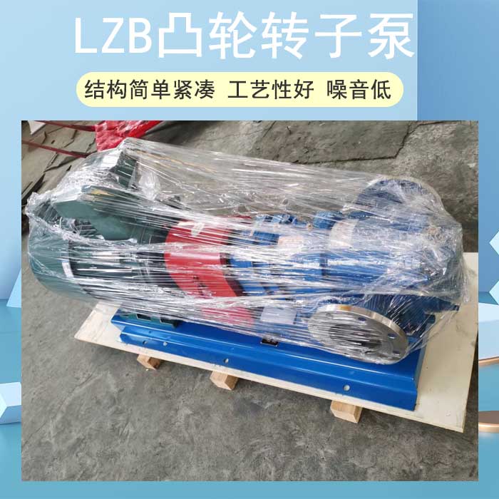 <strong>LZB凸輪轉子泵</strong>